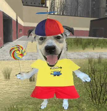 Funny Dog